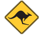 Northampton Skippycoin ICG Northampton Skippycoin ICG